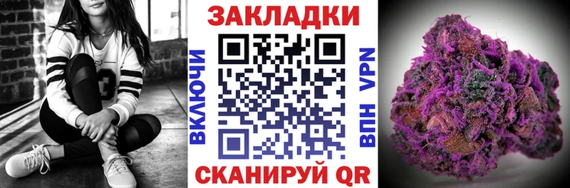 Наркотические вещества Судак Конопля  A PVP  ТГК  Cocaine  Гашиш 