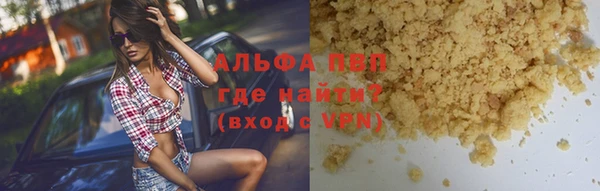 ПСИЛОЦИБИНОВЫЕ ГРИБЫ Баксан