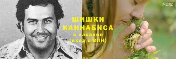 ПСИЛОЦИБИНОВЫЕ ГРИБЫ Баксан