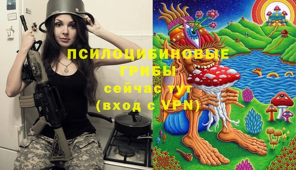 бошки Арсеньев