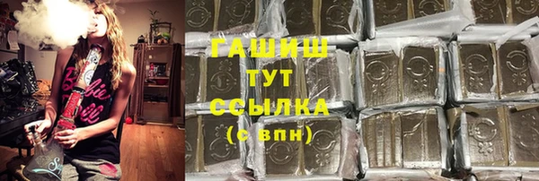 PSILOCYBIN Аркадак