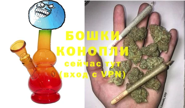PSILOCYBIN Аркадак