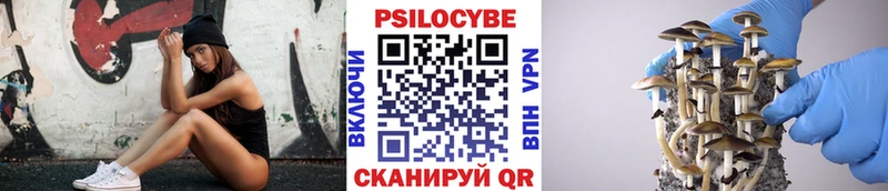 Галлюциногенные грибы Psilocybine cubensis  хочу наркоту  Судак 